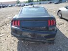 2021 Ford Mustang Black vin: 1FA6P8THXM5134759