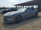 2021 Ford Mustang Gray vin: 1FATP8UH4M5123080