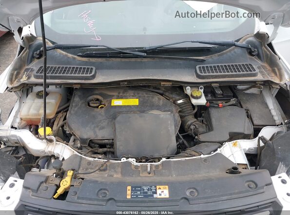 1FMCU0GX8GUC26113 2016 FORD ESCAPE Белый Вид сзади