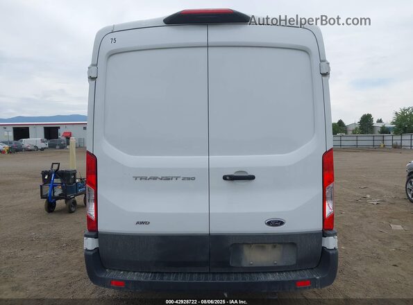 1FTBR2C84PKB34536 2023 FORD TRANSIT-250 Белый 
