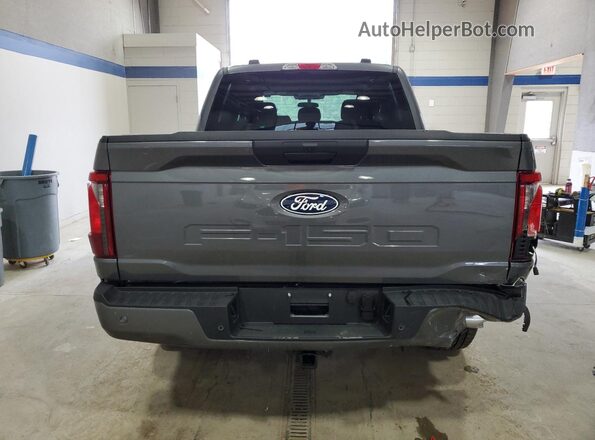 1FTEW2LP9SKD15346 2025 FORD F150 Gray Rear view
