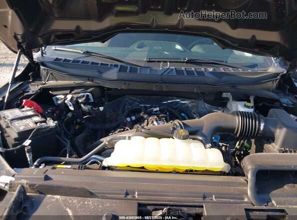 1FTEW2LPXSKE24219 2025 FORD F150 Черный Вид сзади