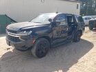 2024 Chevrolet Tahoe C1500 Черный vin: 1GNSCLED3RR260504