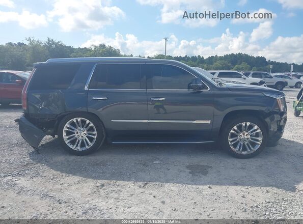 1GYS4BKJ7LR221572 2020 CADILLAC ESCALADE Синий Вид задней части салона
