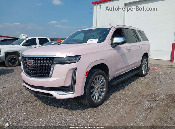 1GYS4BKLXPR552766 2023 CADILLAC ESCALADE Pink Առջևի ձախ երեք քառորդ տեսարան
