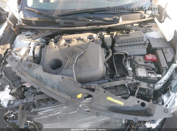 1N4AA6FV8PC504253 2023 NISSAN MAXIMA PLATINUM Белый Вид сзади