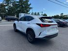 2022 Lexus Nx 250 White vin: 2T2ADCAZ7NC001825