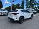 2022 Lexus Nx 250 White vin: 2T2ADCAZ7NC001825