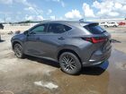 2023 Lexus Nx 250 Gray vin: 2T2ADCAZ7PC005814