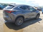 2023 Lexus Nx 250 Gray vin: 2T2ADCAZ7PC005814