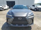 2023 Lexus Nx 250 Gray vin: 2T2ADCAZ7PC005814
