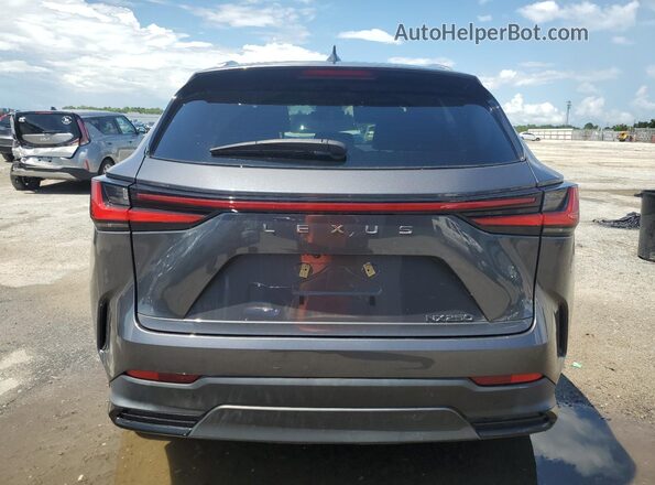 2T2ADCAZ7PC005814 2023 LEXUS NX Gray Vista trasera