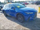 2024 Lexus Nx 250 Blue vin: 2T2ADCAZXRC010170