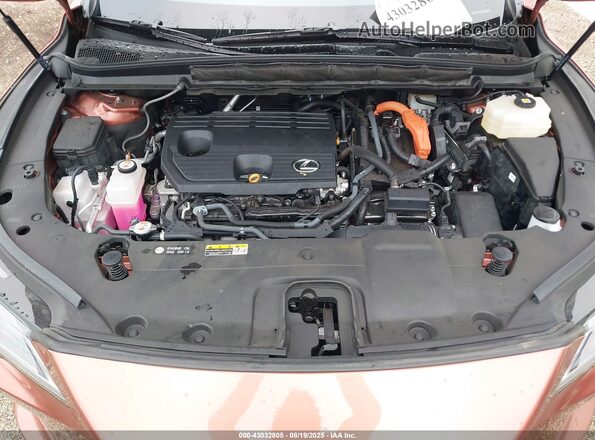 2T2BBMCAXPC005183 2023 LEXUS RX Orange უკანა ხედი