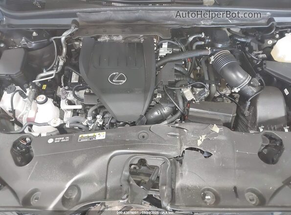 2T2BCMEA1RC020264 2024 LEXUS RX 500H Черный Вид сзади