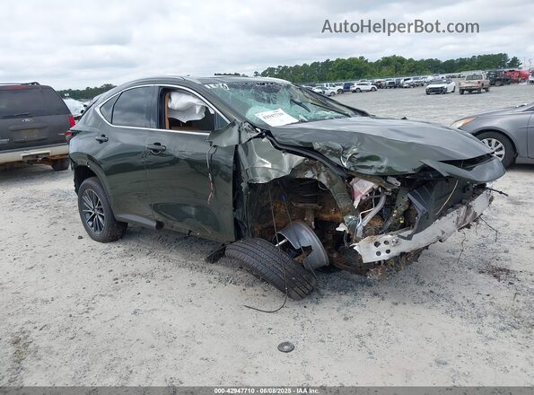 2T2GDCAZ0SC026216 2025 LEXUS NX 250 Green Front right
