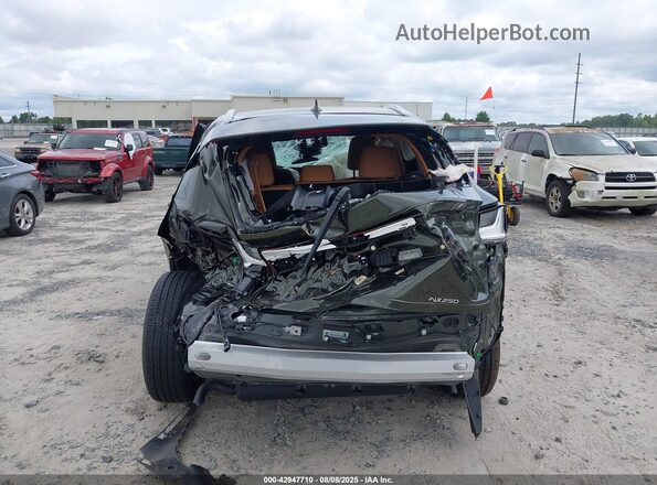 2T2GDCAZ0SC026216 2025 LEXUS NX 250 Green 
