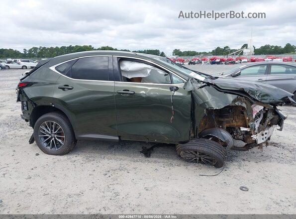2T2GDCAZ0SC026216 2025 LEXUS NX 250 Green 360 interior view