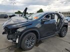 2023 Lexus Nx 250 Black vin: 2T2GDCAZ3PC005772