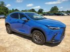 2023 Lexus Nx 350 Blue vin: 2T2GGCEZ4PC017317
