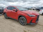 2022 Lexus Nx 350 Red vin: 2T2GGCEZ8NC015986