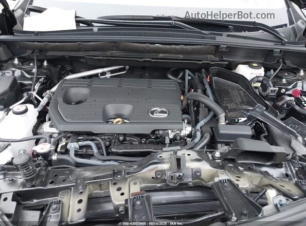 2T2GKCEZ5SC054397 2025 LEXUS NX 350H Black უკანა ხედი