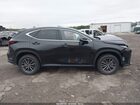 2025 Lexus Nx 350h Premium Black vin: 2T2GKCEZ5SC054397