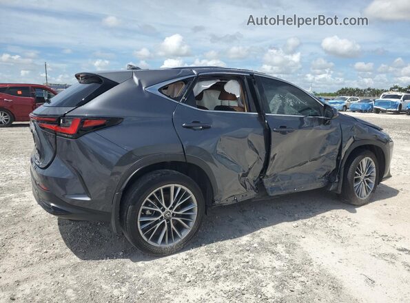 2T2GKCEZ6PC015566 2023 LEXUS NX Gray Задня права чверть