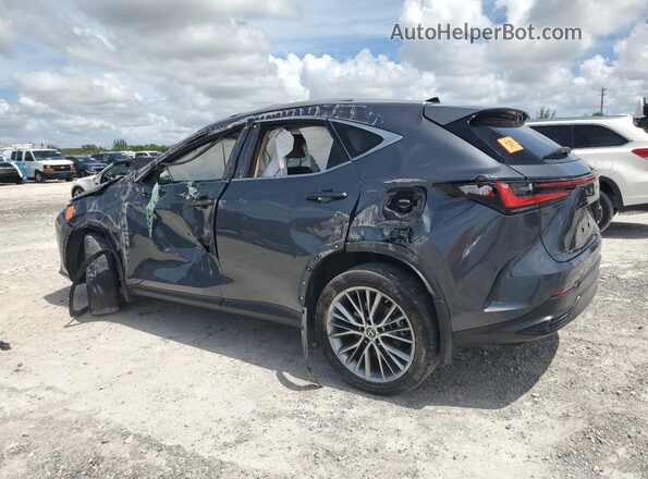 2T2GKCEZ6PC015566 2023 LEXUS NX Gray Задня ліва чверть