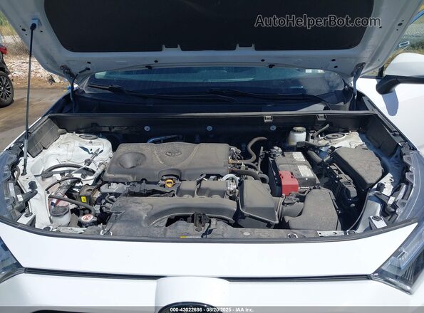 2T3P1RFV6PC348086 2023 TOYOTA LE Белый Вид сзади