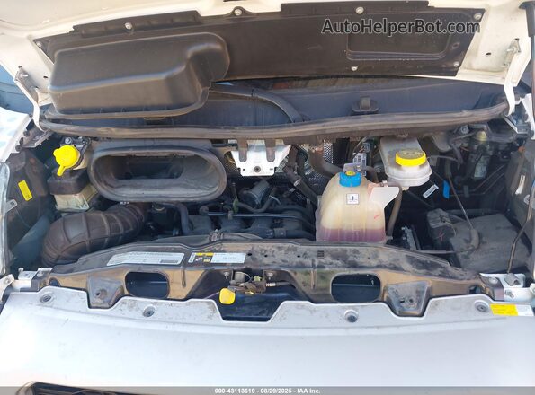 3C6LRVDG8ME510866 2021 RAM PROMASTER 2500 White Հետևի տեսք