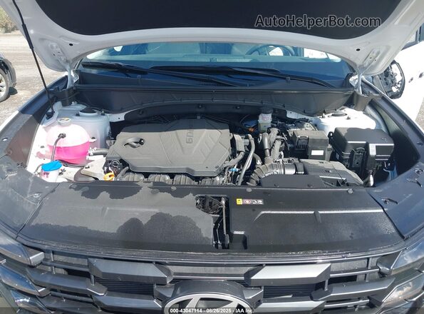 3KMJBCDE8SE015908 2025 HYUNDAI TUCSON White Հետևի տեսք
