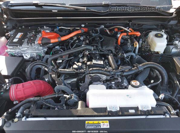 3TYLC5LN7ST031937 2025 TOYOTA TACOMA Gray Widok z tyłu