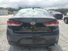 2018 Hyundai Sonata Sport Black vin: 5NPE34AF9JH610989