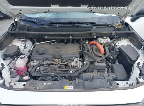4T3E6RFV9MU058427 2021 TOYOTA RAV4 Белый Вид сзади