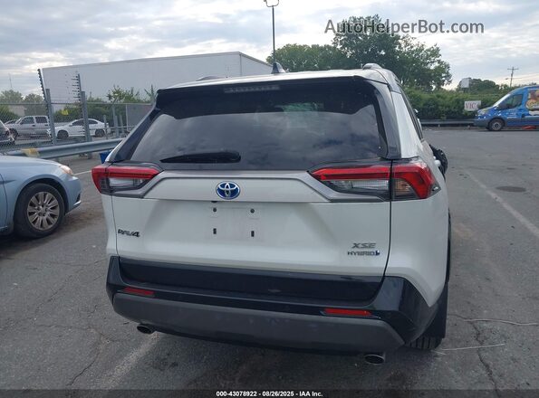 4T3E6RFV9MU058427 2021 TOYOTA RAV4 Белый 