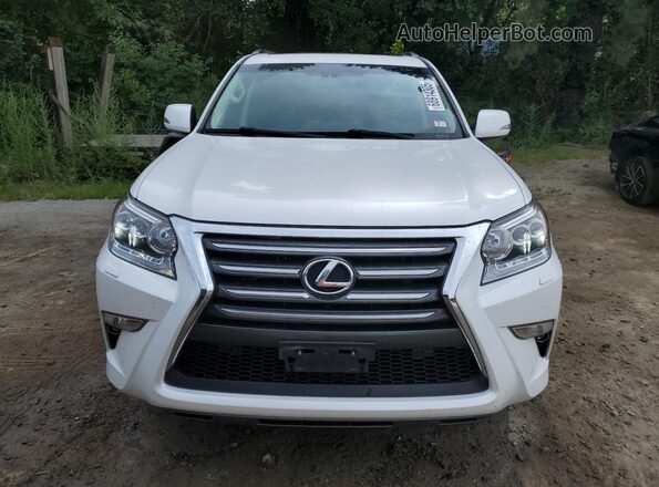 JTJJM7FX7H5168445 2017 LEXUS GX White Widok z tyłu
