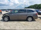 2017 Honda Odyssey Ex-l Gray vin: 5FNRL5H63HB011463