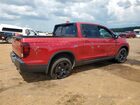 2024 Honda Ridgeline Black Edition Red vin: 5FPYK3F87RB014589