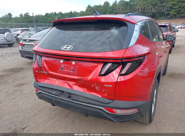 5NMJBCAE9PH194516 2023 HYUNDAI TUCSON Красный 