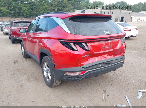 5NMJBCAE9PH194516 2023 HYUNDAI TUCSON Красный Задняя левая четверть