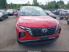 2023 Hyundai Tucson Sel Красный vin: 5NMJBCAE9PH194516