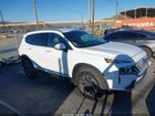 2023 Hyundai Santa Fe Hybrid Blue White vin: 5NMS2DA16PH001133