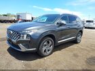 2023 Hyundai Santa Fe Sel Черный vin: 5NMS3DAJ6PH584588