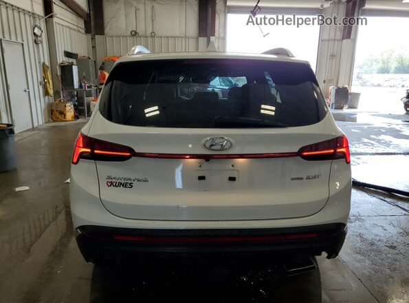 5NMS4DAL5PH517687 2023 HYUNDAI SANTA White Vista trasera