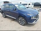 2023 Hyundai Santa Fe Calligraphy Blue vin: 5NMS54ALXPH595542