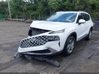 2021 Hyundai Santa Fe Sel White vin: 5NMS64AJ1MH322190