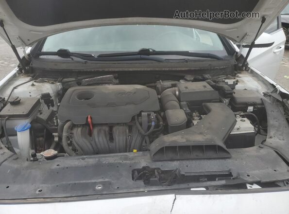 5NPE24AF5JH614461 2018 HYUNDAI SONATA White Սալոնի հետևի տեսք
