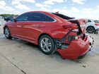 2018 Hyundai Sonata Sport Red vin: 5NPE34AF5JH700978