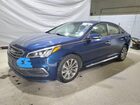 2017 Hyundai Sonata Sport Blue vin: 5NPE34AF7HH587237